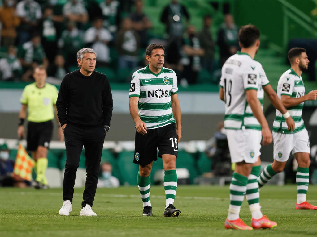 加固自己的 加固自己的